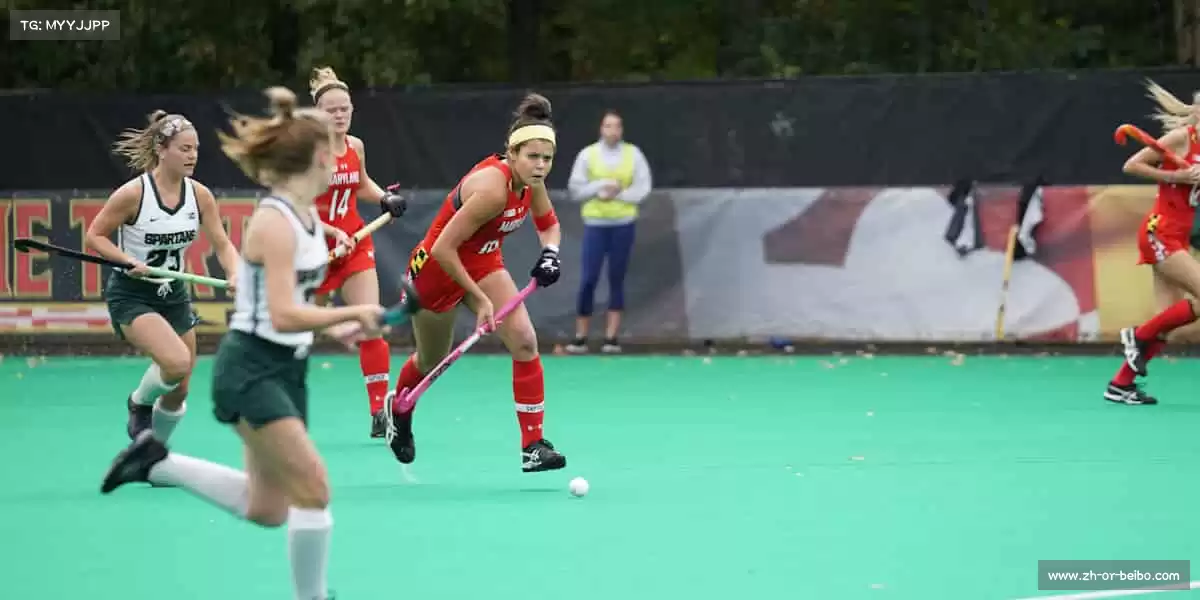 BB体育下载——装备加持实力，运动重塑自我！🏋️‍♀️